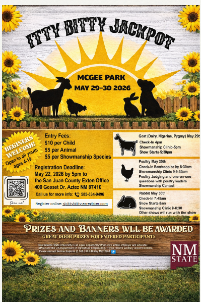 Itty Bitty Jackpot Flyer