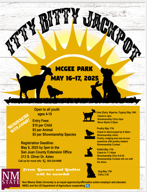 Itty Bitty Jackpot Flyer