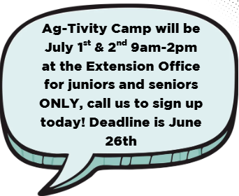 Agtivity Camp
